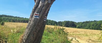 Pod Sowiną ↔ Witoszów Górny