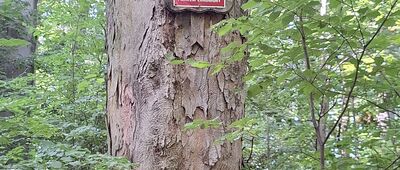 Jeziorko Daisy ↔ Pod Sowiną