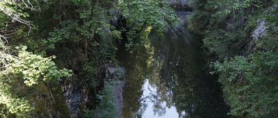 Lesnica, ústie ↔ Čingov