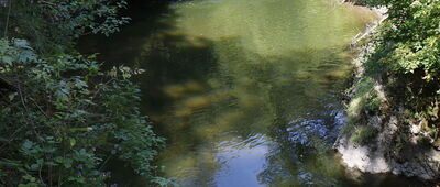 Pod Tomášovským výhľadom ↔ Biely potok, rázc.