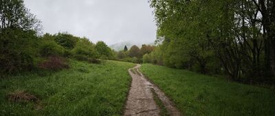 Wetlina, wejście do Parku Narodowego ↔ Wetlina, Stare Sioło