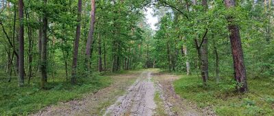 Bubek ↔ Rezerwat Krępiec, parking