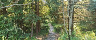 Polana ↔ Smrk, vrchol