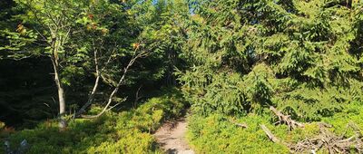 Polana ↔ Smrk, vrchol