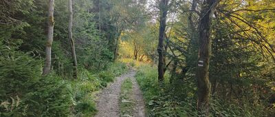 Ostravice, rozc. ↔ Smrk, sedlo