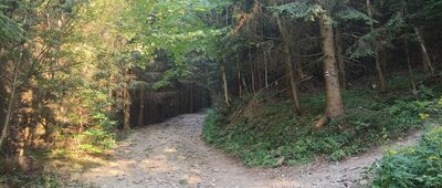 Ostravice, rozc. ↔ Smrk, sedlo