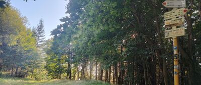 Ostravice, rozc. ↔ Smrk, sedlo