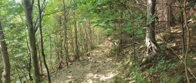 Hradová, nad salašem ↔ Ivančena, mohyla