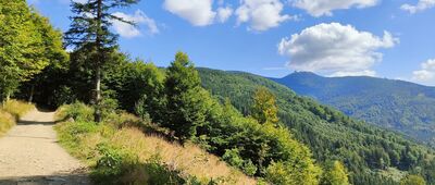 Hradová, nad salašem, rozc. ↔ Hradová, nad salašem