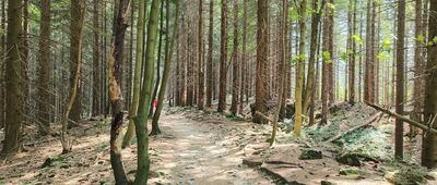 Pod Lukšincem ↔ Lukšinec