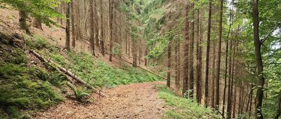 Velký Lipový potok ↔ Ropička, rozc.