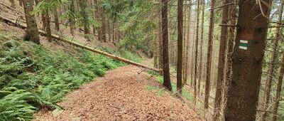 Velký Lipový potok ↔ Ropička, rozc.