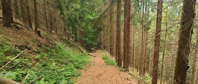 Velký Lipový potok ↔ Ropička, rozc.