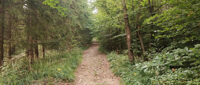 Pod Velkým Lipovým