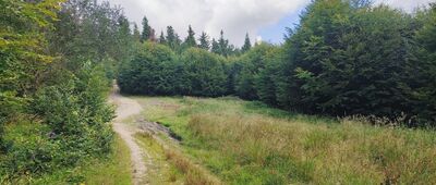 Pod Velkým Lipovým