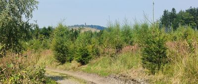 Pindula, sedlo ↔ Zadní Javorník