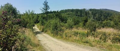 Malý Javorník, rozc.