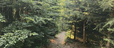 Radegast, pomnik ↔ Skalíkova Louka, rozc.