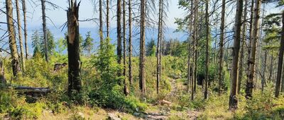 Muřinkový vrch, kaple ↔ Velký Polom, vrchol