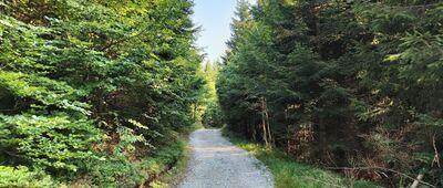 Hromadová ↔ Muřinkový vrch, kaple