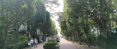 Jurata, ul. Ratibora ↔ Jurata, Kossakówka