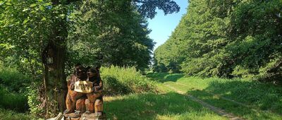 Lisia Góra ↔ Izbica