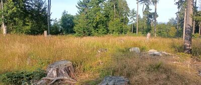 Rozdroże pod Lelkową ↔ Skrzyżowanie szlaków czerwony / niebieski / zielony