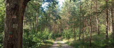 Rezerwat Mierzeja Sarbska ↔ Osetnik