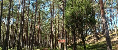 Rezerwat Mierzeja Sarbska ↔ Osetnik