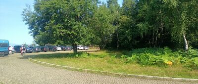 Skrzyżowanie szlaków czerwony / niebieski / zielony ↔ Błędne Skały, parking