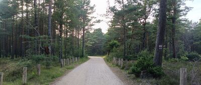 Białogóra ↔ Dębki