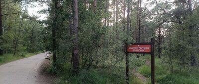 Białogóra ↔ Dębki