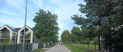 Białogóra ↔ Dębki