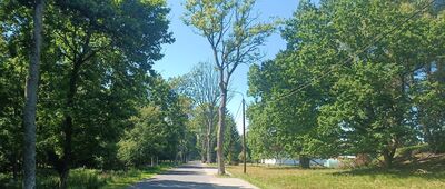 Kluki, leśniczówka ↔ Kluki