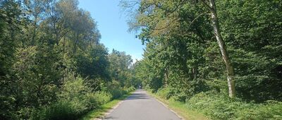 Łokciowe, granica parku narodowego ↔ Kluki, leśniczówka