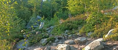 Odejście do Fortu Karola