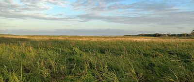 Władysławowo, ul. Szkutników ↔ Chałupy