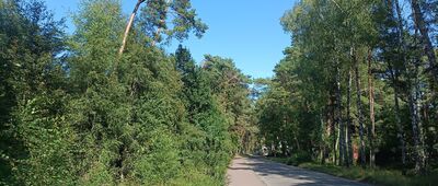 Rąbka, granica parku narodowego ↔ Łeba, ul. Turystyczna