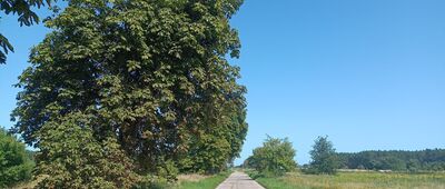 Smołdzino, ul. Kopernika ↔ Łokciowe, granica parku narodowego