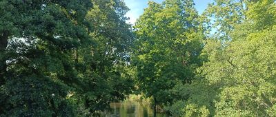 Smołdzino, ul. Kościuszki ↔ Smołdzino