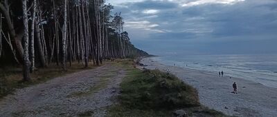 Osetnik ↔ Lubiatowo