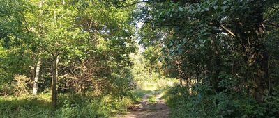 Żarnowska, granica parku narodowego