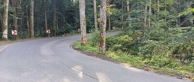 Radkowskie Skały, parking ↔ Stroczy Zakręt