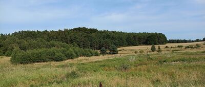 Smołdzino, Rowokół ↔ Gardna Wielka, ul. Ogrodowa