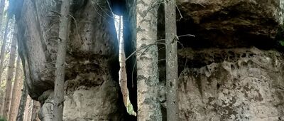 Skalne Wrota, odejście szlaku niebieskiego