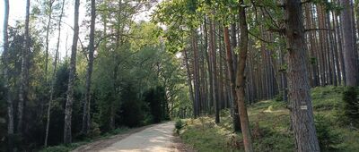 Wielkie Bagno Słowińskiego Parku Narodowego ↔ Żarnowska, granica parku narodowego