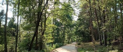 Wielkie Bagno Słowińskiego Parku Narodowego