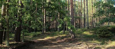 Odejście ścieżki przyrodniczej