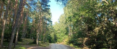 Odejście ścieżki przyrodniczej ↔ Odejście ścieżki przyrodniczej