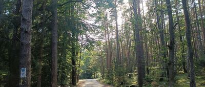 Odejście ścieżki przyrodniczej